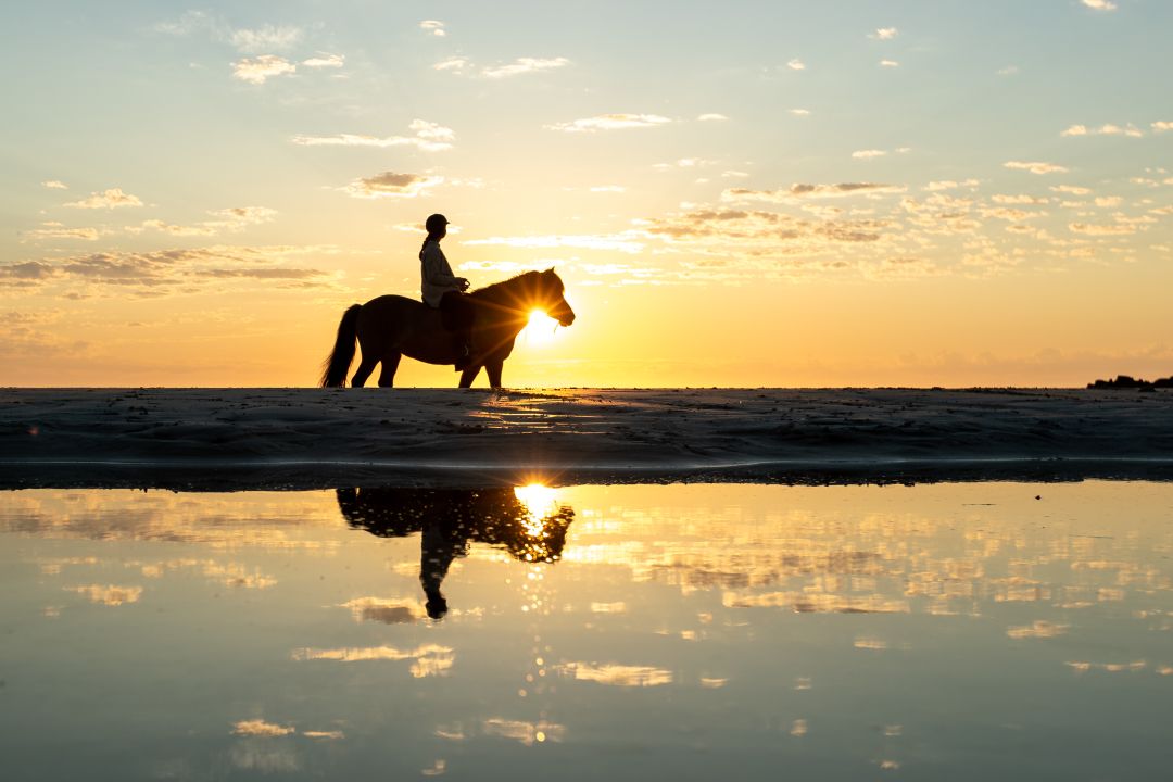 Horse Riding in Karachi Beach